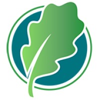 Canyon Oak Financial