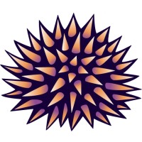 Kinasa logo - Similar company to Kinasa
