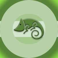 Gecko.web logo - Similar company to Seenreport