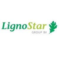 LignoStar Group logo - Similar company to Lignosulfonates
