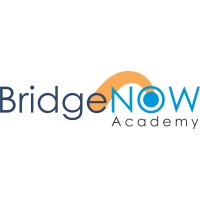 BridgeNow Academy logo - Similar company to Bridge Now Gmbh