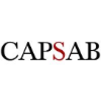 CAPSAB - Card And Payment Solutions AB logo - Similar company to Interket Ab