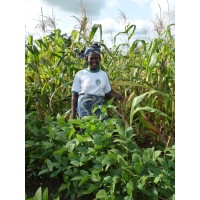 FEMMES & DEVELOPPEMENT EN AFRIQUE logo - Similar company to A2Ds - Association Pour Le Développement Durable En Santé