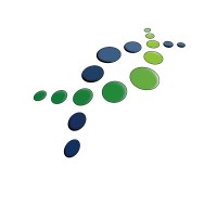 Capital Communication Services, LLC
