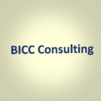 BICC Consulting logo - Similar company to Pec Consulting Group