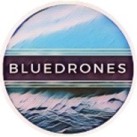 BLUEDRONES logo - Similar company to Autonomous Maritime Solutions