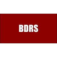 BDRS & Associates LLP logo - Similar company to Tech Magify Llp
