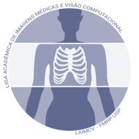 Academic League of Medical Images and Computer Vision logo - Similar company to Visão Computacional