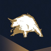 Minos Financial logo - Similar company to Diaxbank