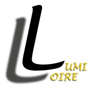 SN LUMILOIRE logo - Similar company to Aaa-Lux