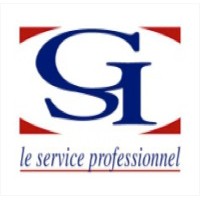 Gestine Services Recrutement logo - Similar company to Wisesys