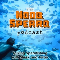 Noob Spearo logo - Similar company to King Sound Studios