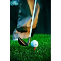 Top Golf Gears logo - Similar company to Top Golfe