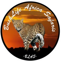 BushLife Africa Safaris (BLAS) logo - Similar company to Easyota: Transform Your Safari Bookings