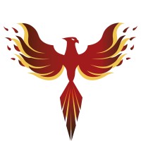 Koç University Kickboxing Club logo - Similar company to East West Connection Martial Arts & Wellness