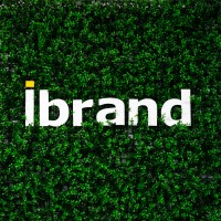 Ibrand logo - Similar company to Ibrand
