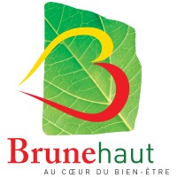 Commune de Brunehaut logo - Similar company to Stad Poperinge