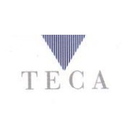 TECA CONSULTING Srl logo - Similar company to Teca S.R.L.