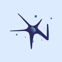 NeuroCog® logo - Similar company to Neurocog