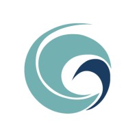 Caspian Team (Development Management and Exploring Futures) logo - Similar company to Caspian Holding | هلدینگ کاسپین