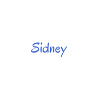 Sidney AI logo - Similar company to Stellar Storage Containers-A Division Of Universal Storage Containers