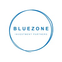 Bluezone Investment Partners logo - Similar company to Audyns