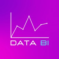 Data BI logo - Similar company to Data Driven Customer Success & Experience