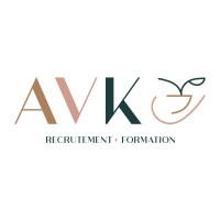 AVK Consulting logo - Similar company to Idem85