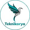 Teknikorya logo - Similar company to Radequips