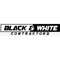 Black and White Services, Corp. logo - Similar company to Zenicsoft