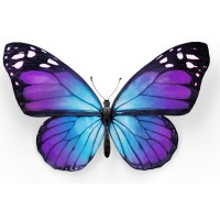 TELUS Financial Management Development Program logo - Similar company to H Graphicspro