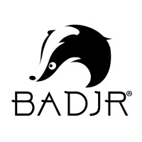 The Badjr logo - Similar company to Baseline IT