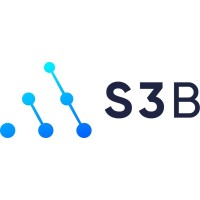 Semiconductor Sector Service Bureau (S3B) logo - Similar company to Morse Micro
