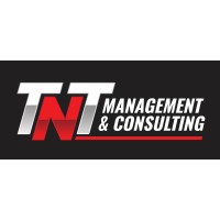 TNT Management & Consulting logo - Similar company to Tseye Vision