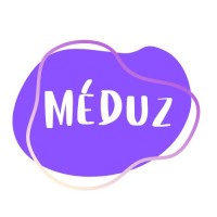 Méduz logo - Similar company to Workwise