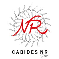 Cabides NR logo - Similar company to Artex