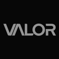 VALOR GAMING logo - Similar company to Valor