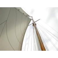 Genoa Solutions logo - Similar company to Genoa