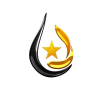 Novostar Company Limited logo - Similar company to Procell (Systems) Ltd