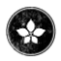 algobonito, S.L. logo - Similar company to Spinae