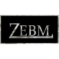 ZEBM Group logo - Similar company to Universo Do Embrião