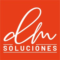 DM Soluciones logo - Similar company to Camconnection ®