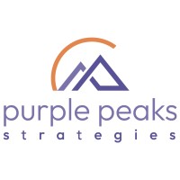 Purple Peaks Strategies logo - Similar company to Amaseu