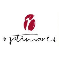 Optimares logo - Similar company to Aviointeriors