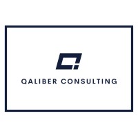 Qaliber Consulting logo - Similar company to Noord Security Bv