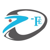 FUTURE EYE TUNISIA logo - Similar company to Ins Solutions