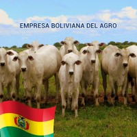 Empresa Boliviana del Agro logo - Similar company to Minera Imperial
