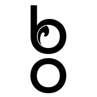 blueocean consult GmbH logo - Similar company to Pontd