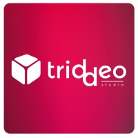 Triddeo · Agencia SEO | SEM logo - Similar company to Mrchimini