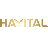 Havital Flooring Solutions logo - Similar company to Techsoko Tanzania